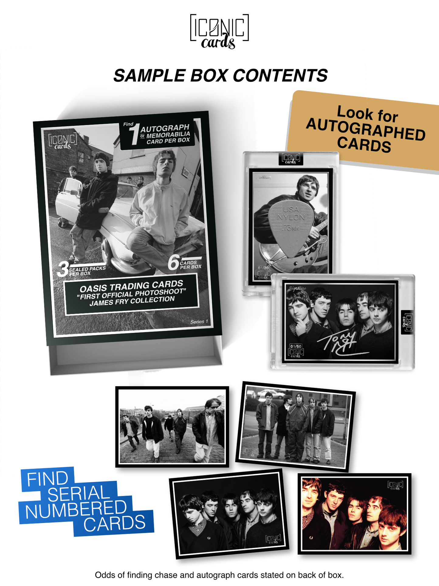Oasis Trading Card Collection Box